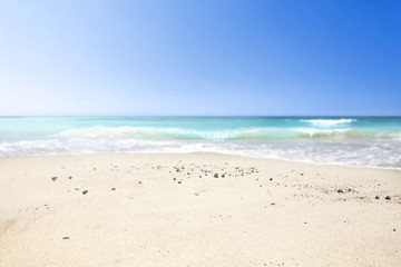 Fototapeta na wymiar a beautiful beach on a beautiful sunny day 