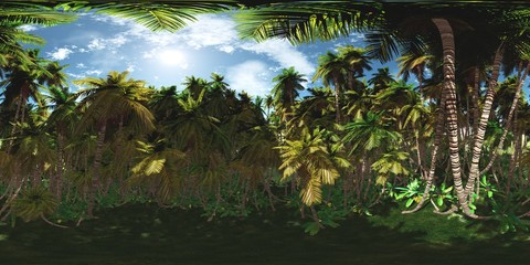 Naklejka premium HDRI, high resolution map, environment map, Round panorama, spherical panorama, equidistant projection, tropical forest 