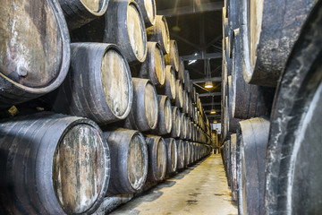 Plenty of wine barrels in Porto area, Portugal