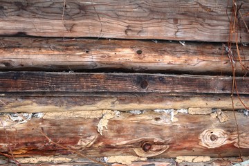 Moscow Region, 2018: Wall of an old wooden barn