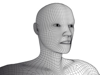 Human head 3d wireframe vector isolated.