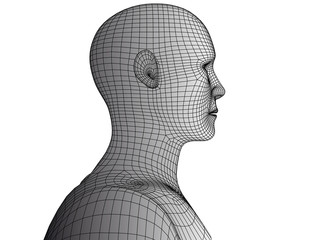 Abstract human head 3d wireframe vector.