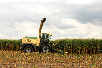 Landmaschine bei der Maisernte
