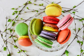colored macaroons in glass vase and green branches, spring concept on white background