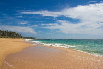 Beautiful beach. View of nice tropical beach with palms around. Holiday and vacation concept. Tropical beach.