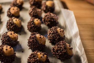 Hedgehog donut holes for party favors