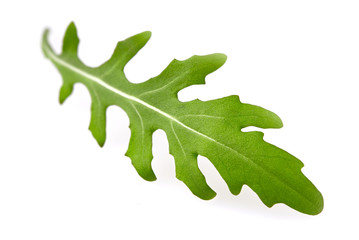 Fototapeta premium Green fresh rucola isolated on white background.
