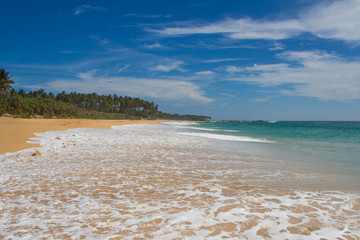 Beautiful beach. View of nice tropical beach with palms around. Holiday and vacation concept. Tropical beach.