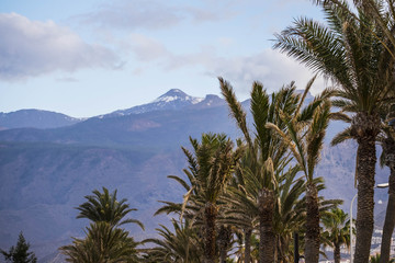 Fototapeta na wymiar El Teide vulcan viewed from palms tree