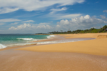 Beautiful beach. View of nice tropical beach with palms around. Holiday and vacation concept. Tropical beach.