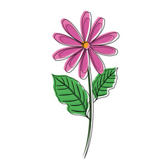Beautiful flower symbol icon vector illustration graphic design