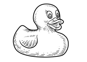 Rubber duck illustration, drawing, engraving, ink, line art, vector
