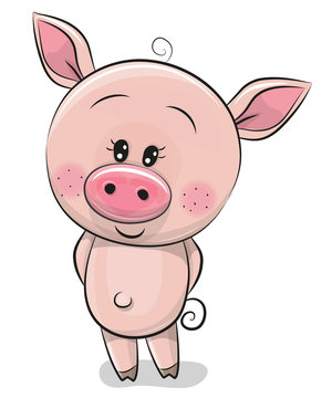 Cute Cartoon Pig isolated on a white background