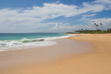 Beautiful beach. View of nice tropical beach with palms around. Holiday and vacation concept. Tropical beach.