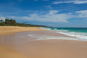 Beautiful beach. View of nice tropical beach with palms around. Holiday and vacation concept. Tropical beach.