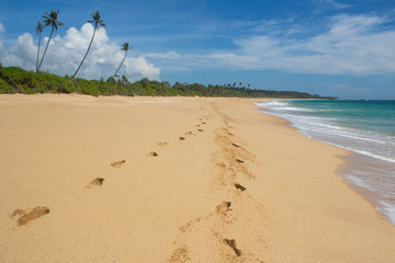 Beautiful beach. View of nice tropical beach with palms around. Holiday and vacation concept. Tropical beach.