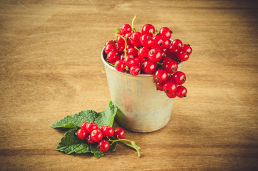 Fresh ripe organic red currant in aluminum cup.
