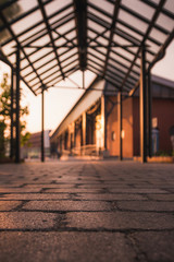 Schaufenster Fischereihafen