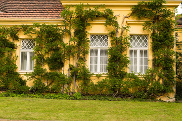 facade with window in the garden