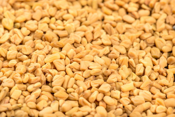 Dry fenugreek seeds