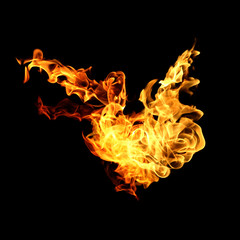 Fire flames collection isolated on black background