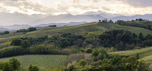 Gattinara hills