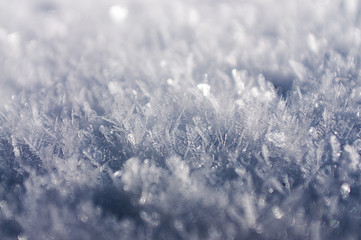 Snowflakes Winter Landscape Harz National Park