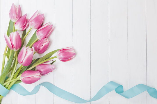 Spring Tulips with Blue Ribbon Background
