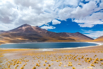 Atacama Altiplana desert, Laguna Miscanti salt lake and mountains landscape, Miniques, Chile, South America   © Iuliia Sokolovska