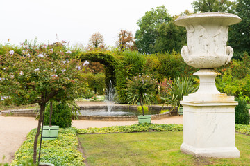 a hedge in the garden