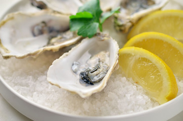 Fresh oysters with lemon and herbs