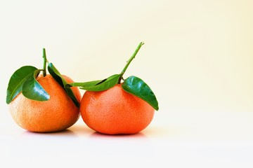 Two beautiful orange mandarines with green leaves on the white background
