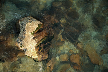 Top view of a large wide river stone