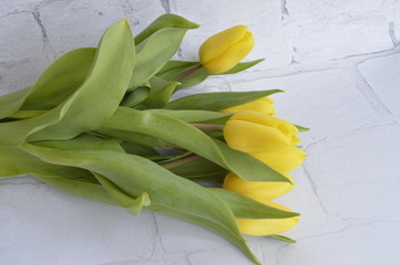 Spring bouquet of pale yellow tulips