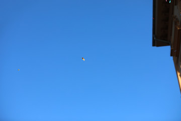 Fasching Karneval Konfetti Seifenblasen Papierschnipsel