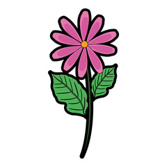 Beautiful flower symbol icon vector illustration graphic design