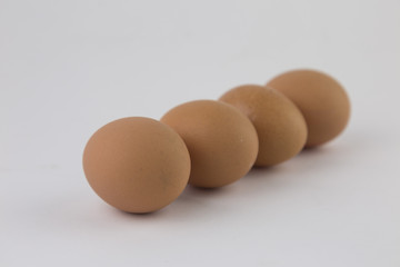 whole eggs of organic farming