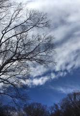 winter blue sky with clouds