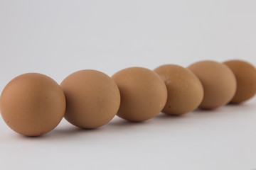 whole eggs of organic farming