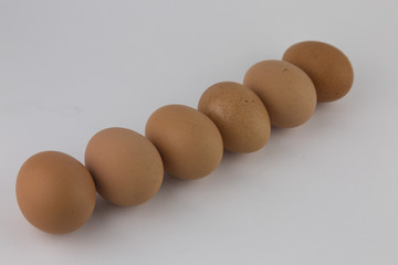 whole eggs of organic farming