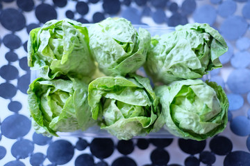Small green cabbages of fresh Peking salad cabbage in a plastic container