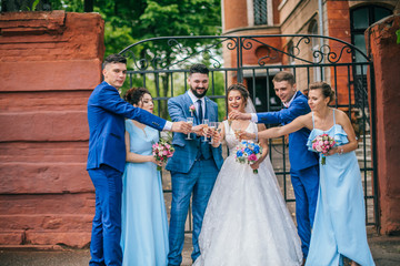 beautiful newlyweds with their friends having fun together. Friendship picture. Bridesmaids and groomsmen with bride and groom. Drinking champagne.
