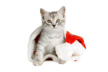 Grau getigertes Kätzchen mit Weihnachtsmütze, isoliert auf weißem Hintergrund