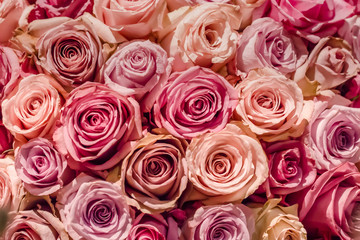 Obraz na płótnie Canvas Abundance of roses