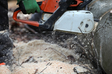Holzfäller sägt Kaminholz und Brennholz