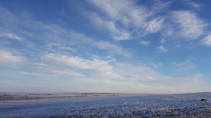 Obraz premium Amazing deep blue sky with cirrus feather-shaped clouds over dry grassland - nature background. Cirrus clouds over the grass field in winter