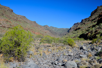 La Gomera: hike from playa de santiago to san sebastian