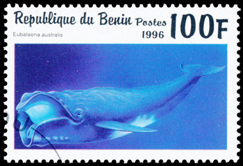 Stamp printed in Benin showing Southern Right Whale