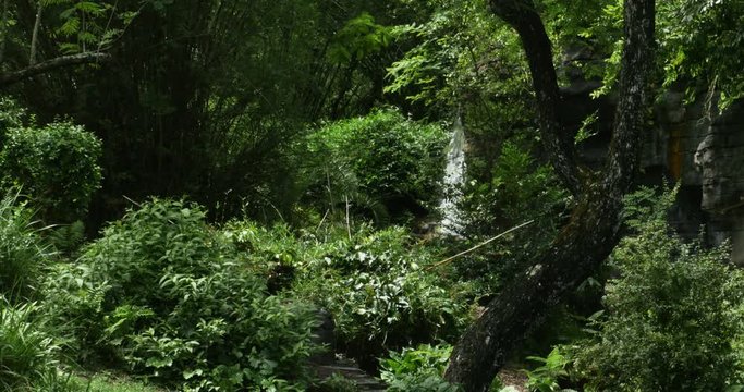 1908 Waterfall in the Tropics, 4K