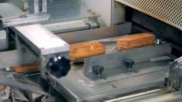 Packing line at food factory. Sweet crumpets are being packed on the conveyor.